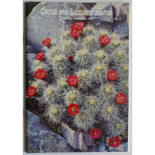 No botanical name is present in the title to extract for the alt text.