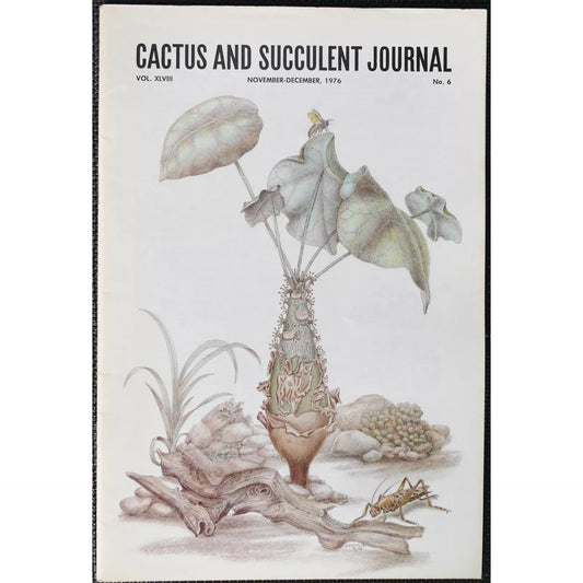 Nessun nome botanico è presente nel titolo da utilizzare come parola chiave principale.