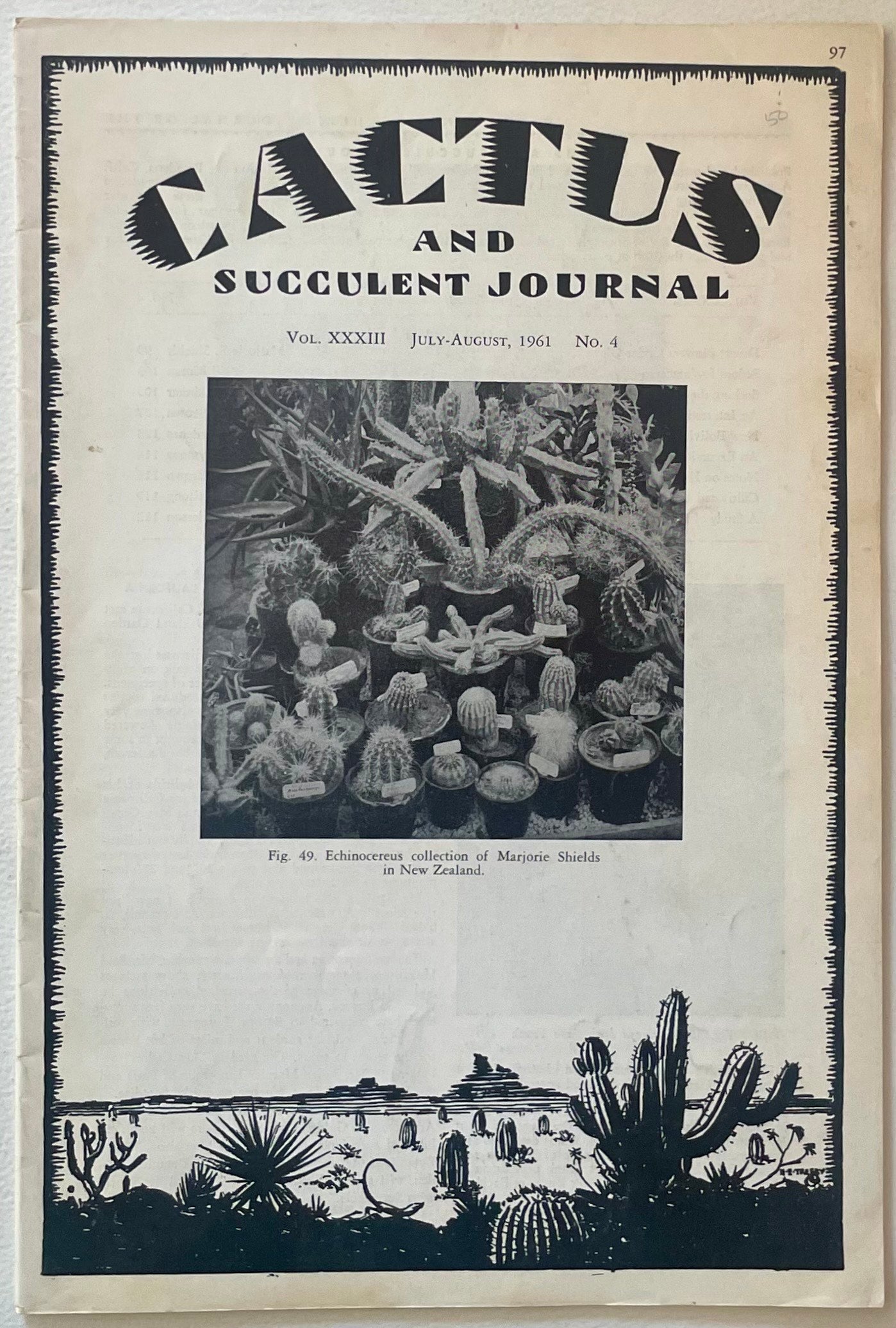 Echinocereus sjelden saftig kaktuskolleksjon med taggete, ribbete stilker i potter