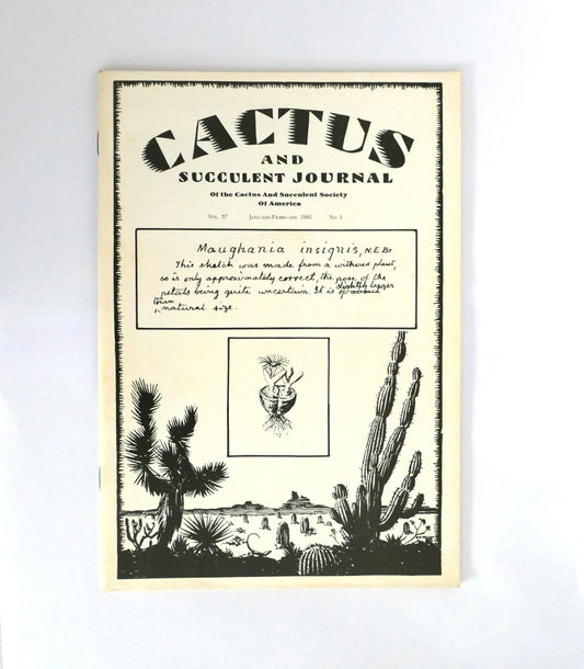 Maughania insignis seltene Sukkulenten-Kakteen-Skizze mit detaillierten Stacheln und Stielen