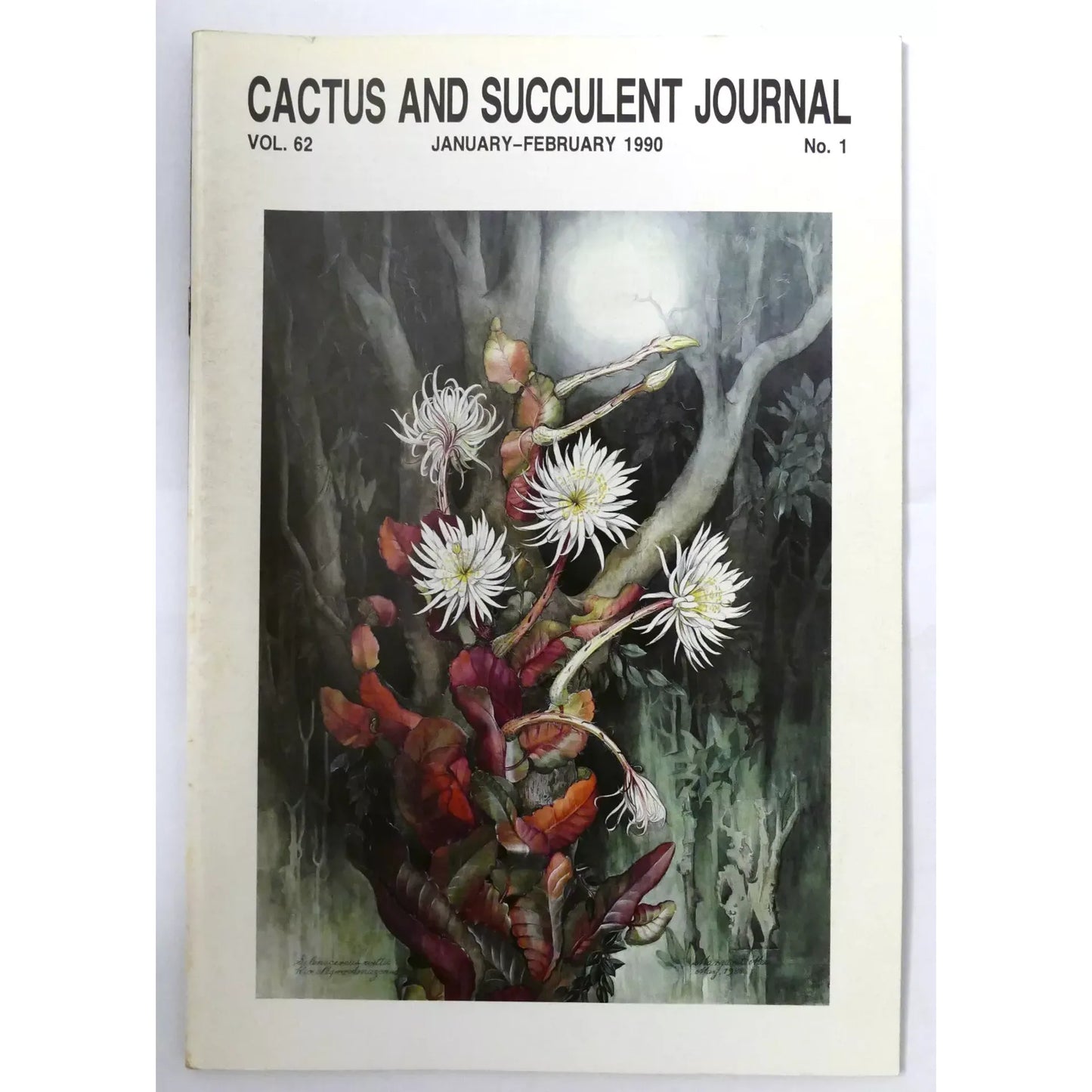 Cactus and Succulent Journal N.1 vol. 62 JANUARY-FEBRUARY 1990