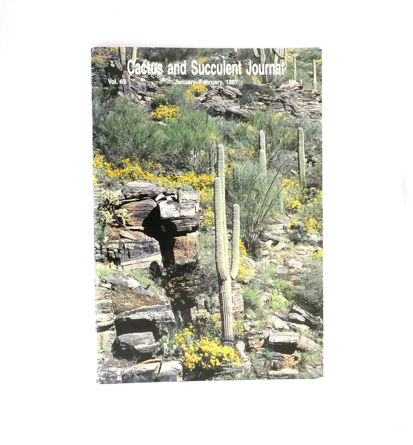 No botanical name found in the title to use as a primary keyword.