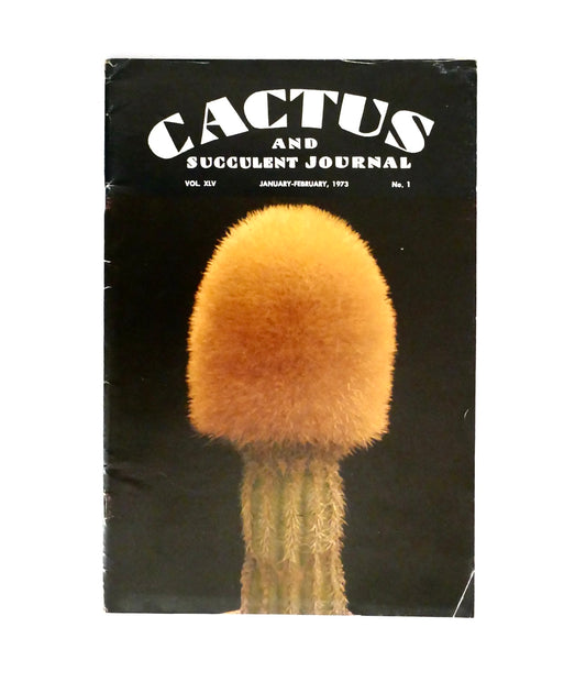 Kein botanischer Name im Titel vorhanden, um alternativen Text zu erstellen.