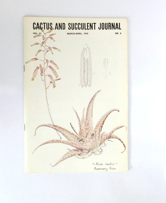 Aloe rauhii Sukkulente mit gefleckten, gebogenen Blättern und hohem Blütenstiel