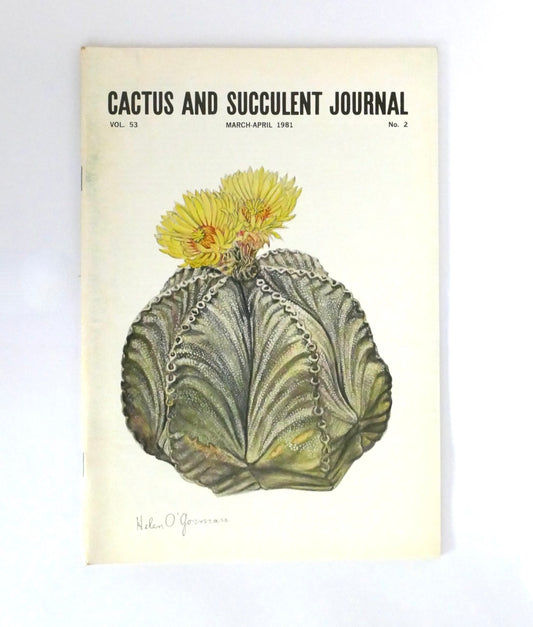 Kein botanischer Name im Titel vorhanden, um Alt-Text zu erstellen.