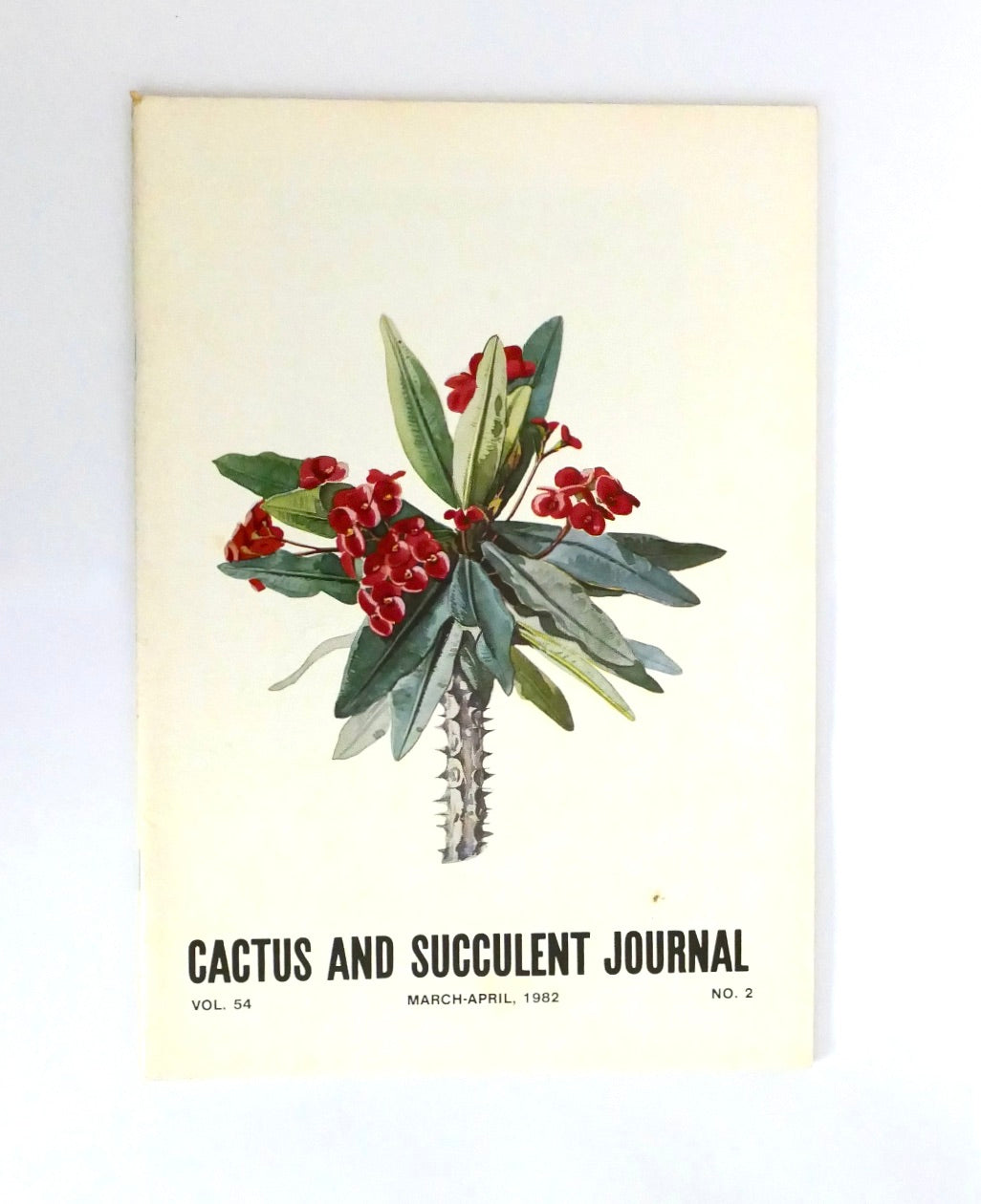 Ingen botanisk navn i tittelen å bruke som primært søkeord.