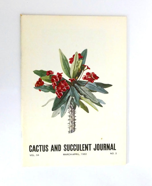 Im Titel ist kein botanischer Name vorhanden, der als Hauptkeyword verwendet werden könnte.