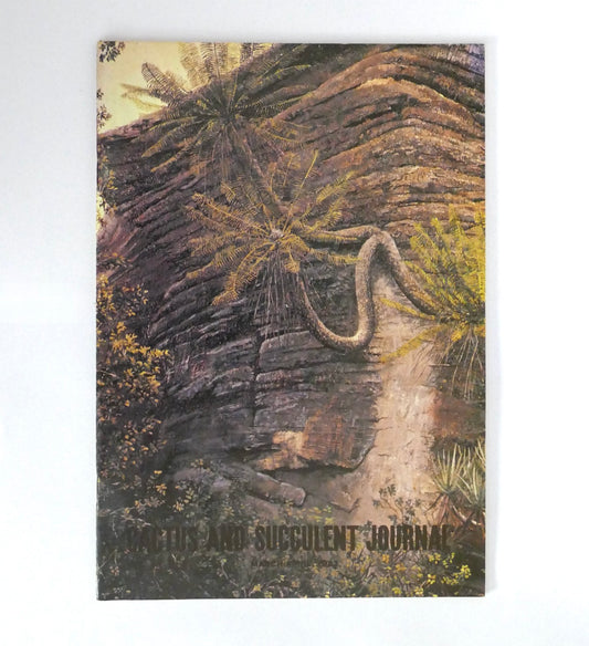 Kein botanischer Name im Titel vorhanden, der als primäres Schlüsselwort für den Alt-Text verwendet werden kann.