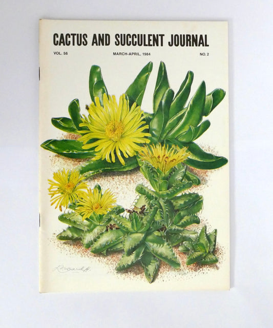 Kein botanischer Name im Titel vorhanden, der für die Erstellung des Alt-Textes extrahiert werden könnte.