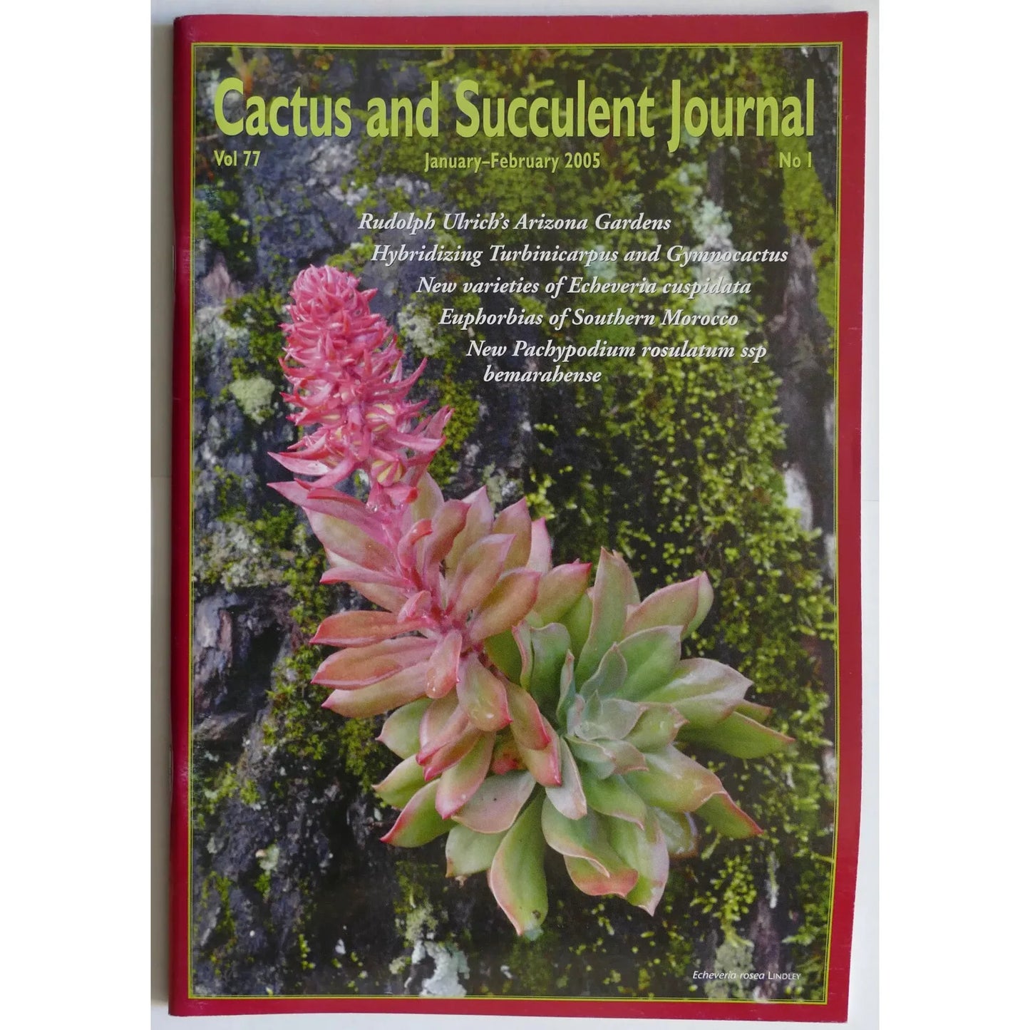 Cactus and Succulent Journal No.1 Vol 77 March-April 2005