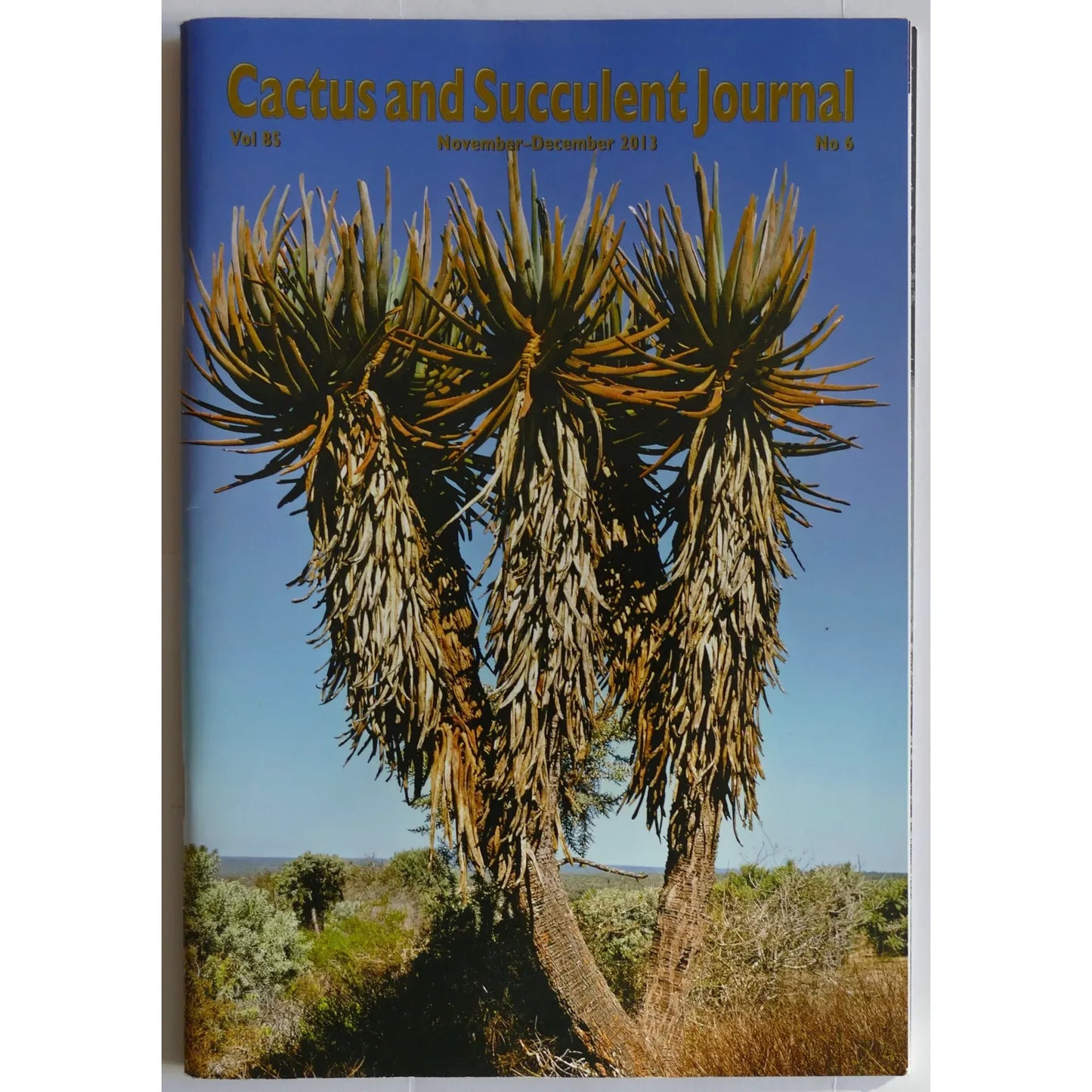 Cactus and Succulent Journal No.6 Vol 85 November-December 2013