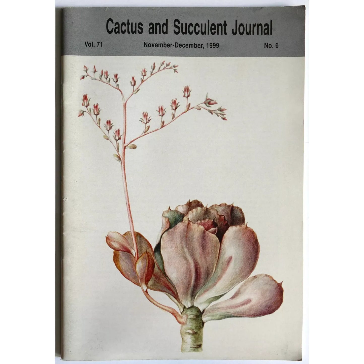 Cactus and Succulent Journal No.6 vol. 71 November-December, 1999