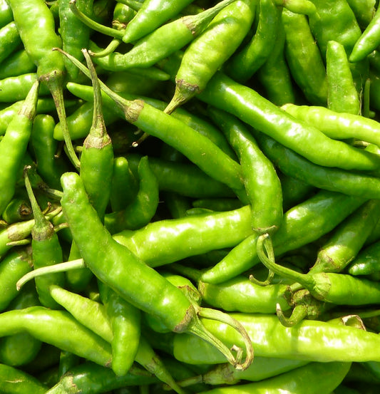 Capsicum annuum var. grossum 'Friariello di Nocera' SEEDS