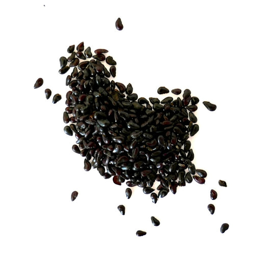 Several small black seeds of Chiapasia nelsonii on a white surface