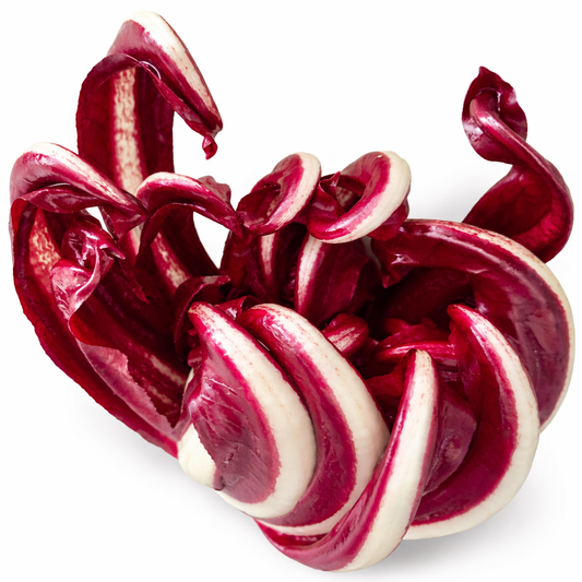 Cichorium intybus var. foliosum 'Italian Red Chicory' SEEDS