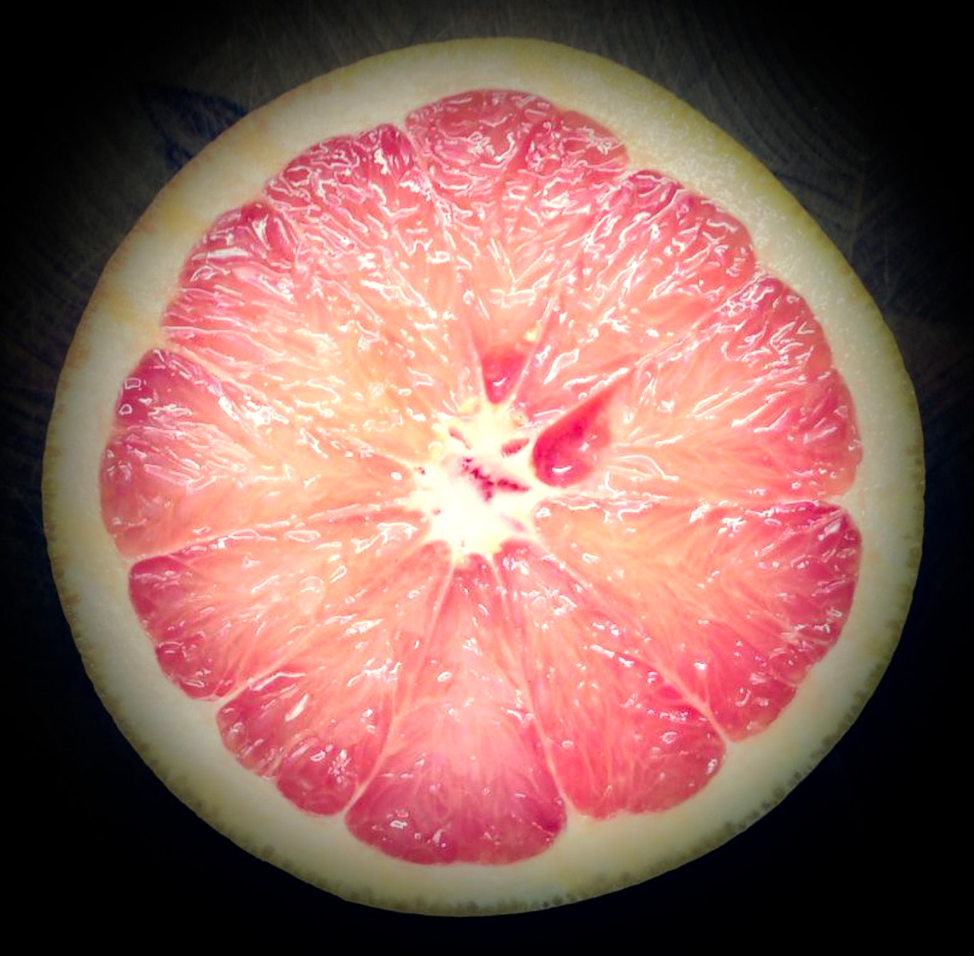 Citrus × paradisi PINK GRAPEFRUIT 60-120cm