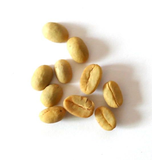 Coffea arabica 'Castillo' zaden close-up op witte achtergrond