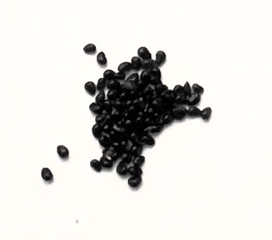 Copiapoa columna-alba small black cactus seeds on white background close-up