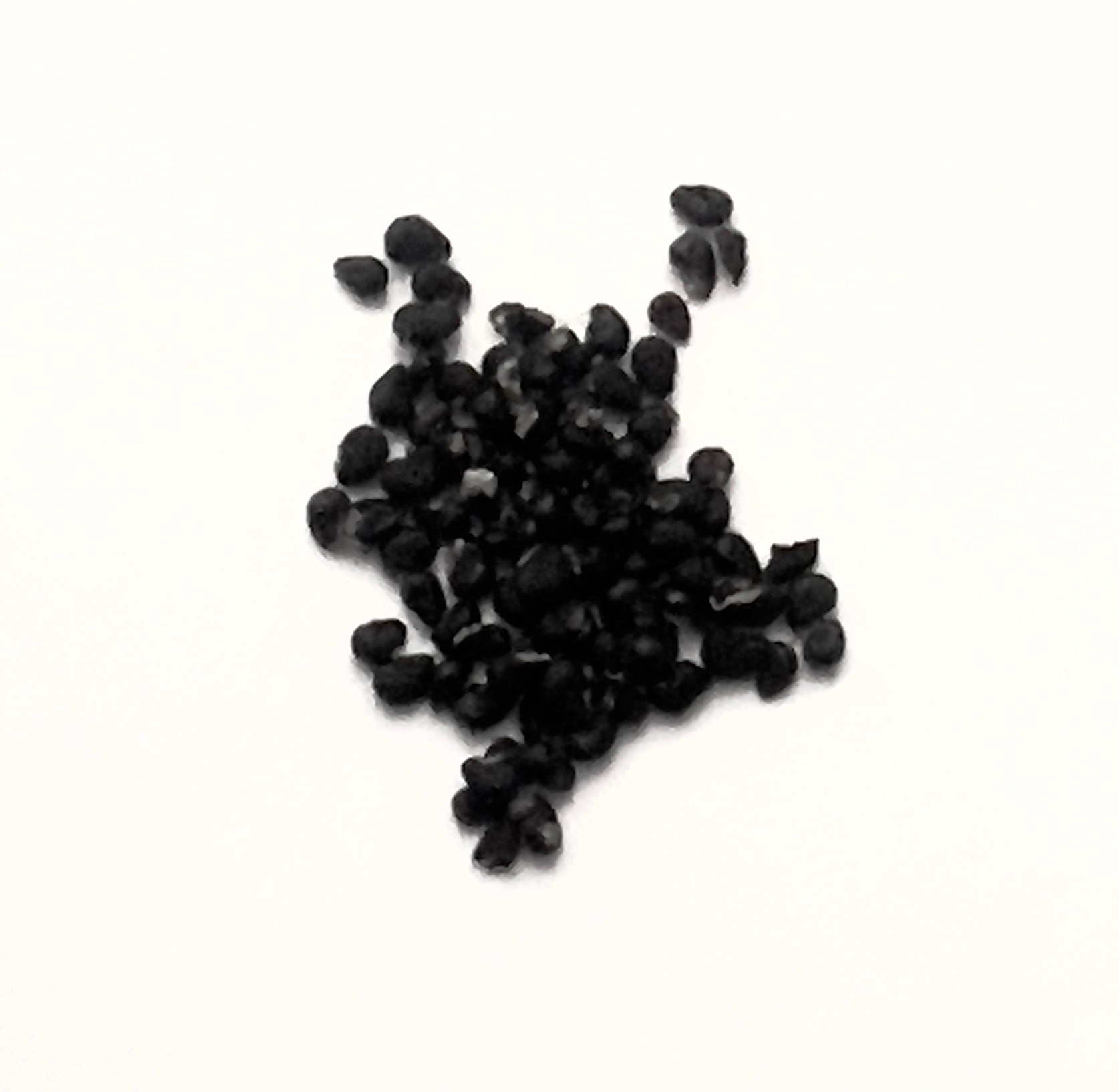 Copiapoa dealbata small black cactus seeds for rare succulent propagation