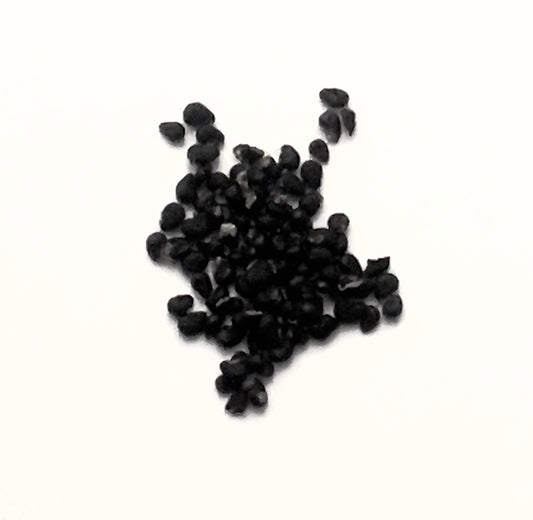 Copiapoa dealbata small black cactus seeds for rare succulent propagation