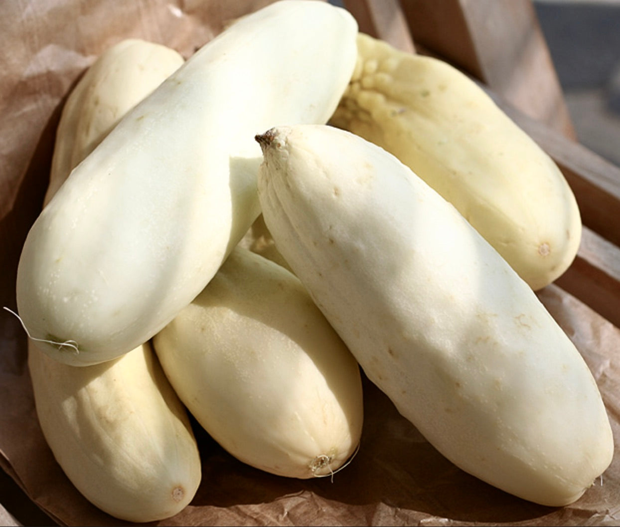 Cucumis sativus var. medio-albus cetrioli allungati di colore bianco pallido con pelle liscia e estremità appuntite