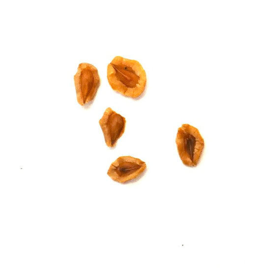 Huernia whitesloanea TR17 SEEDS