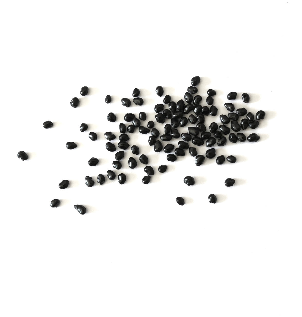 Lophocereus schottii cactus seeds scattered on white background