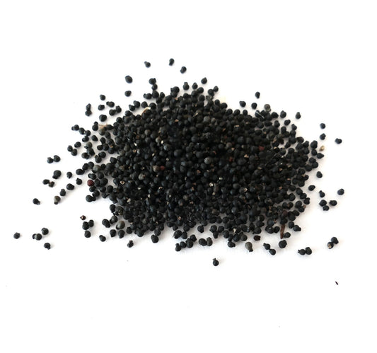About three hundred small black seeds of Mammillaria schumannii on a white surface