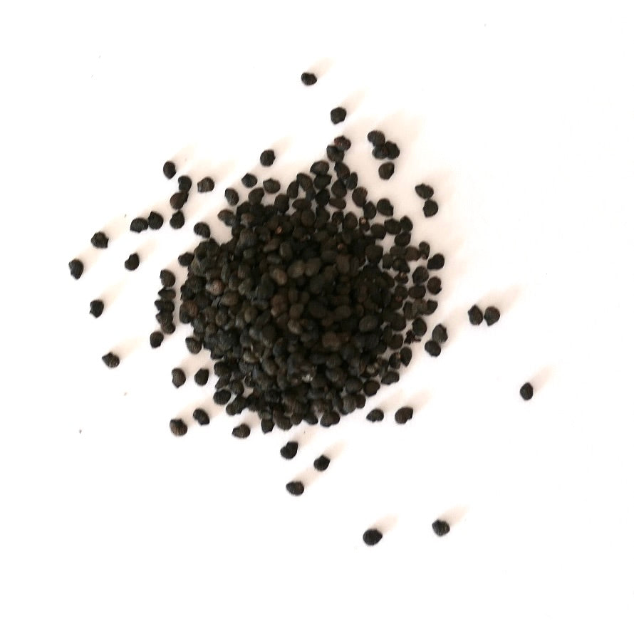 Several black seeds of Myrtillocactus geometrizans from crested forms on a white surface