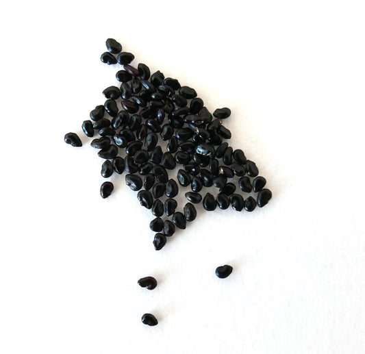 About fifty small black seeds of Pilosocereus chrysostele on a white surface