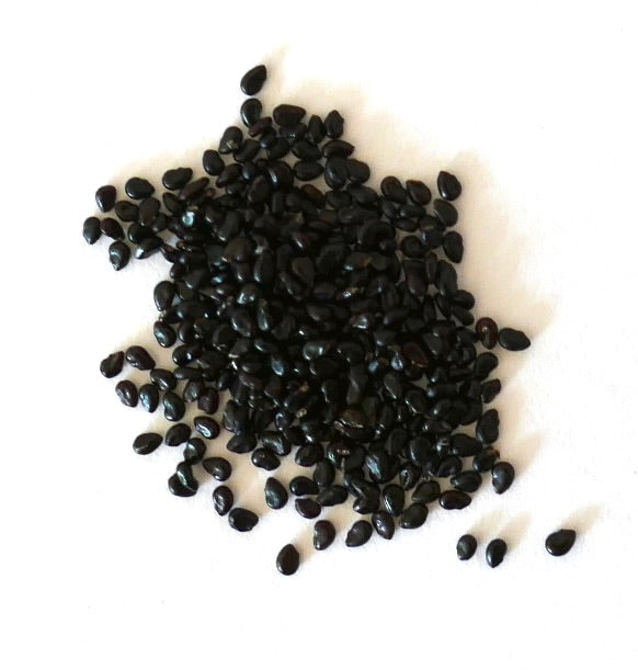 About two hundred black seeds of Pilosocereus fulvilanatus on a white surface