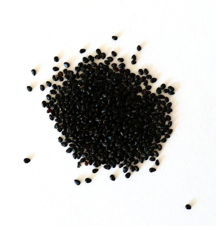 About two hundred black seeds of Pilosocereus magnificus HU224 on a white surface