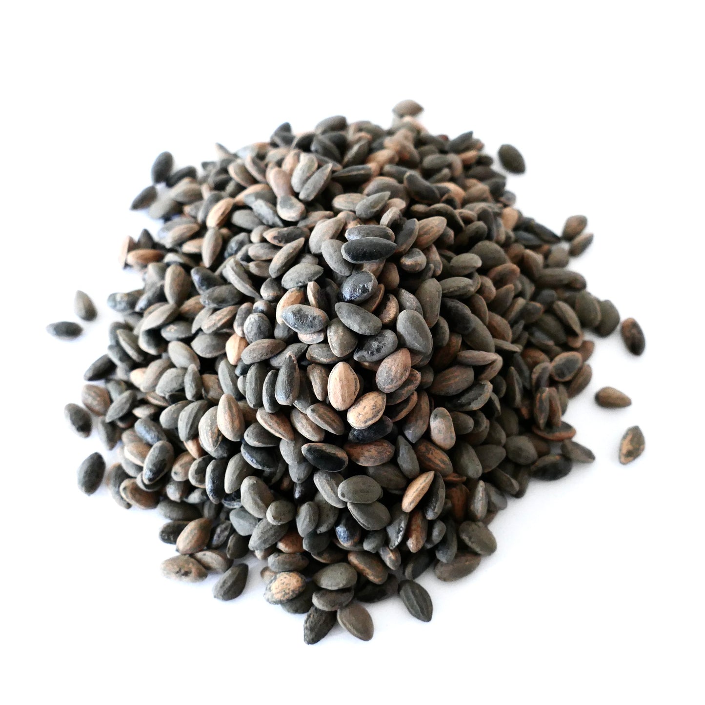 흰색 배경에 작은 갈색과 검정 소나무 씨앗 더미인 소나무 핀우스 피나스터