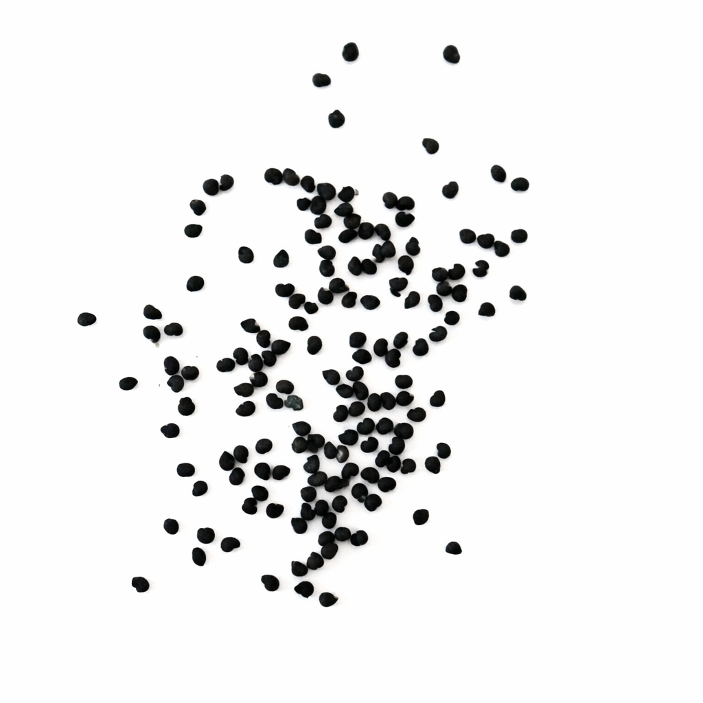 Polaskia chichipe kleine schwarze Kaktussamen auf weißem Hintergrund verstreut