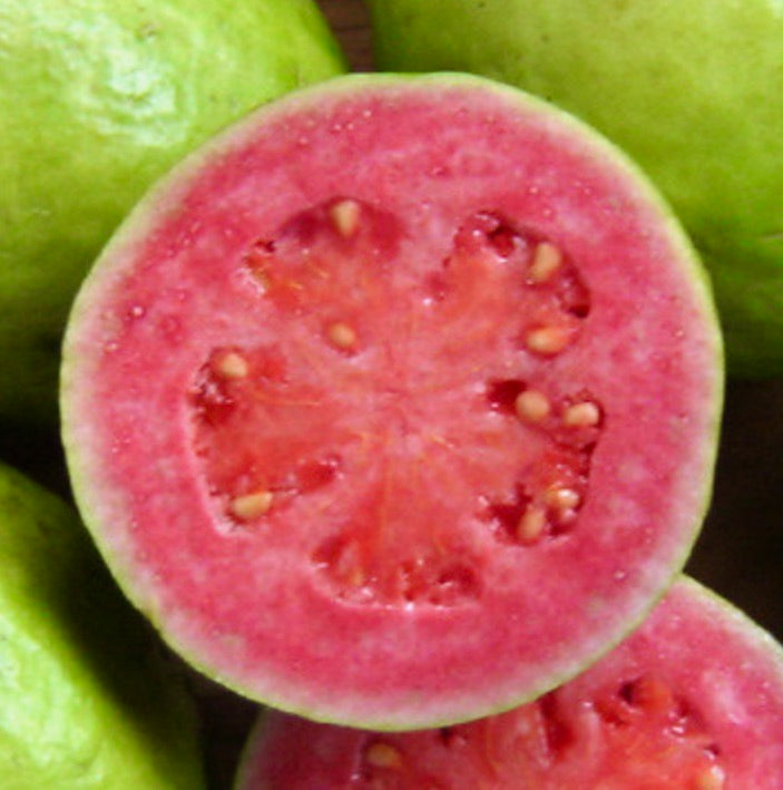 Psidium guajava ripe pink flesh tropical fruit with seeds and green rind