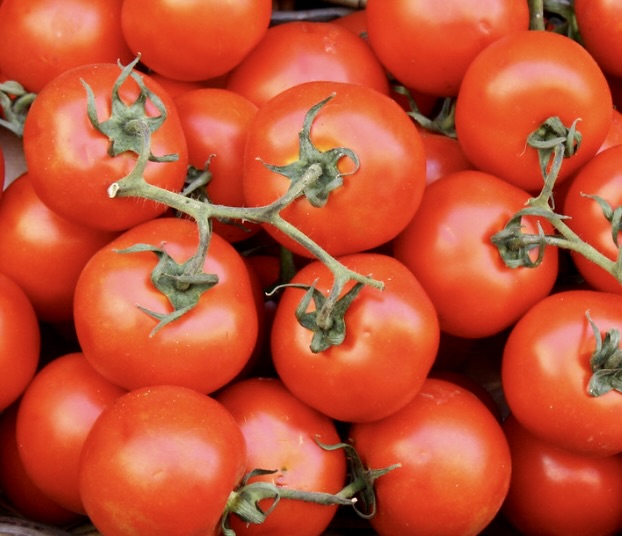 Solanum lycopersicum var. cerasiforme TOMATO SEEDS