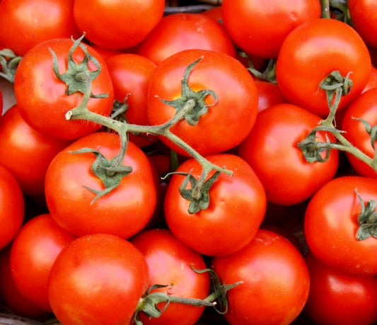 Solanum lycopersicum var. cerasiforme TOMATO SEEDS