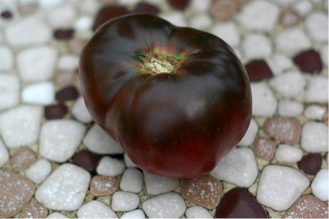 Solanum lycopersicum var. esculentum TOMATO 'Black Krim' SEEDS