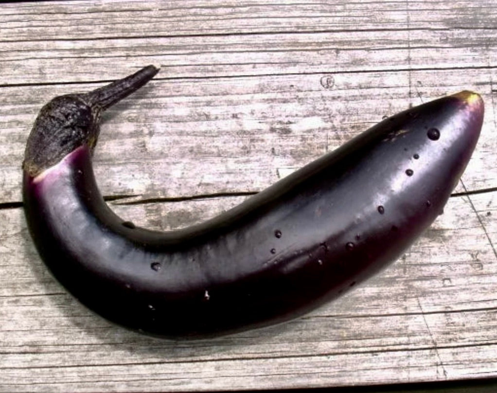 Solanum melongena var. esculentum 'Long Violet 3' SEEDS