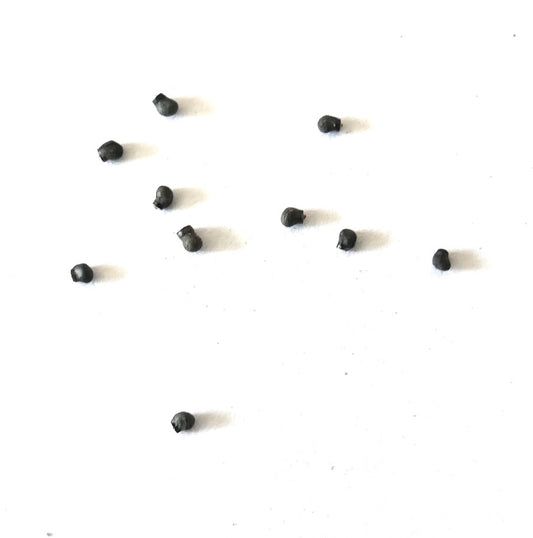Thelocactus heterochromus SEEDS