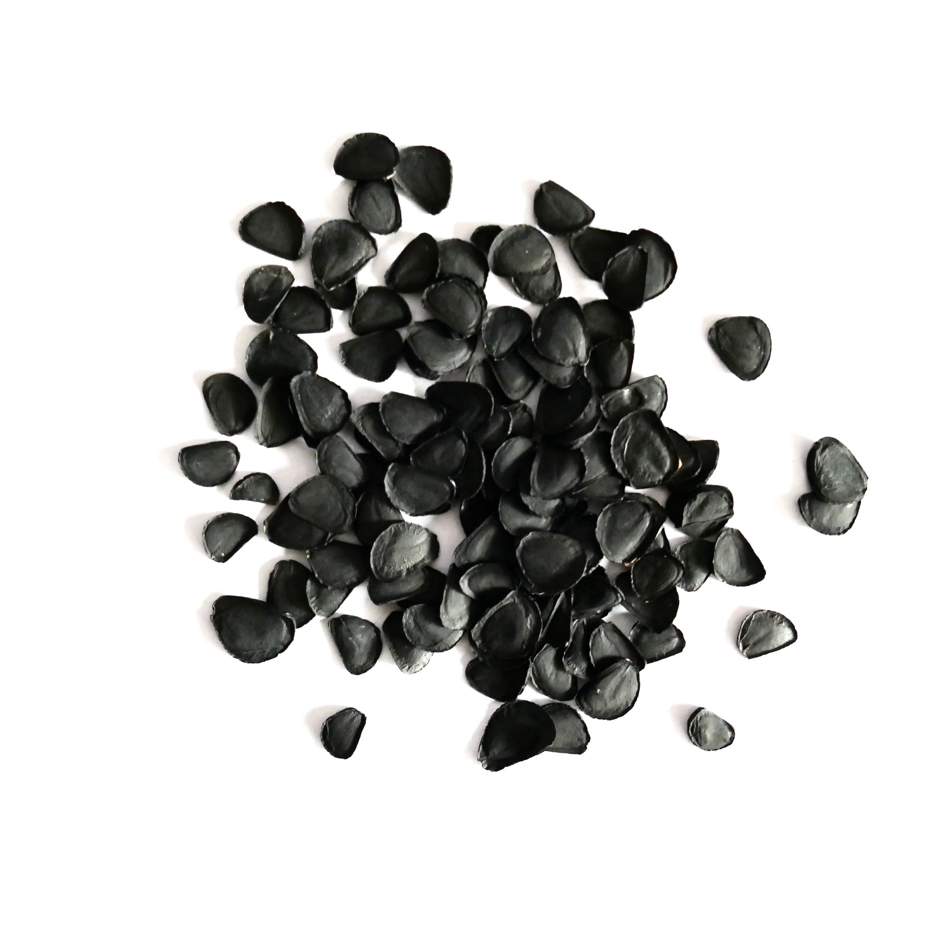 Yucca elata zwarte zaden voor woestijnstruik vermeerdering en teelt